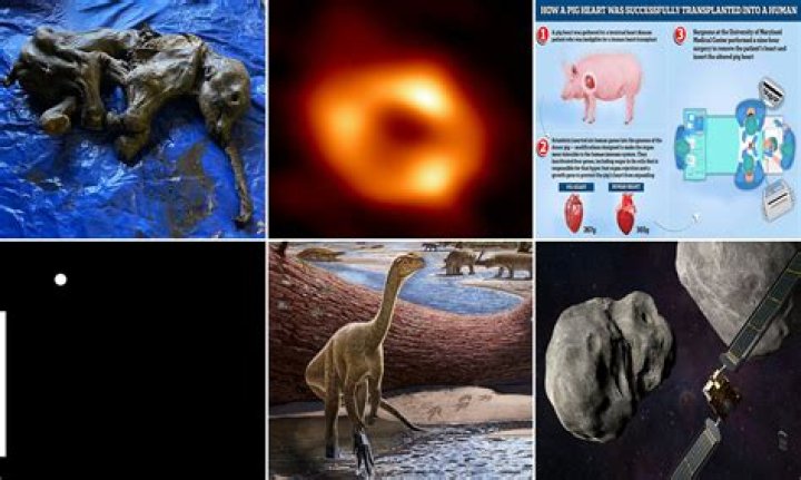 Unveiling Sabira Rakhimova: Discoveries And Insights Await